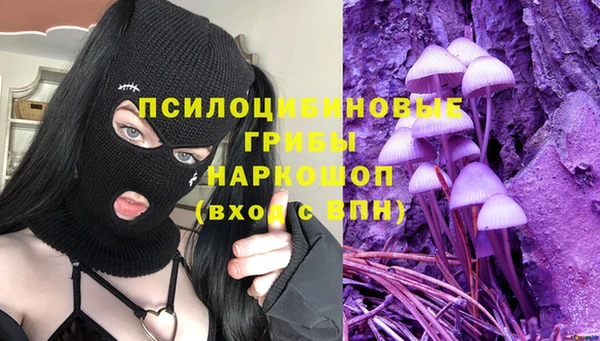 стаф Алексеевка